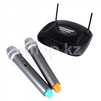 Микрофон Sound Wave SW22