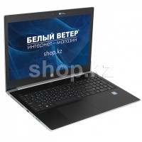 Ноутбук HP ProBook 450 G5 (2RS03EA)
