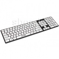 Клавиатура Delux DLK-1000U, Black/White, USB