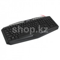 Клавиатура Defender Punisher GK-130DL, Black, USB