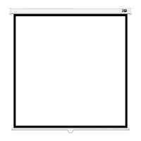 Экран настенный XG DLS-M203xW
