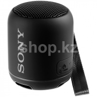 Акустическая система Sony SRS-XB12 (1.0) - Black