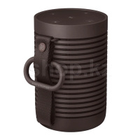 Bang & Olufsen Beosound Explore (2.0), Chestnut динамигі