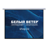 Экран настенный Mr.Pixel MSPSBA120V2