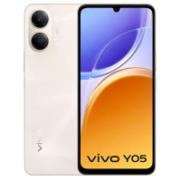 Смартфон vivo Y05, 4 GB, 128 GB, Gold (V2556)