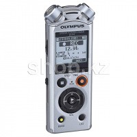 Диктофон цифровой Olympus LS-P1, 4Gb, Silver + Video Kit