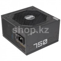 ATX 750W Gigabyte P750GM қуаттау блогы