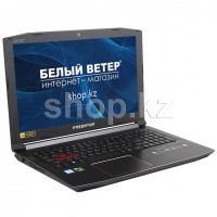 Ноутбук Acer Predator Helios 300 G3-572 (NH.Q2BER.009)
