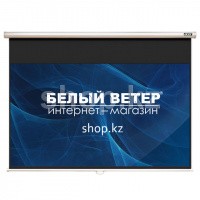 Экран настенный Acer E100-W01MW