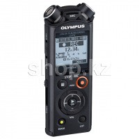 Диктофон цифровой Olympus LS-P4, 8Gb, Black