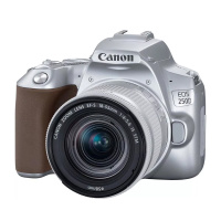 Цифровая камера Canon EOS 250D, Silver