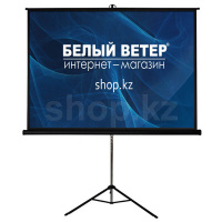 Memory Specialist MSPSDB135 штативіндегі экраны (SN:34eff2ff-57d8-4c33-b743-d51174005253)