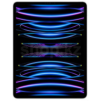 Retina Liquid XDR 12.9" дисплейі бар Apple iPad Pro A2437 планшеті, 512 GB, Wi-Fi+5G, Silver (MP233)