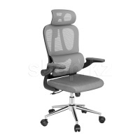 Кресло офисное компьютерное FlexiSpot OC19G, Gray