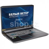 Ноутбук Acer Predator Helios 300 PH317-54 (NH.Q9UER.001)