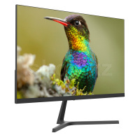 Монитор 23.8" Sanc M2453KJ V2, Black