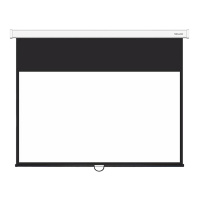 Экран настенный XG DLS-M221x121W