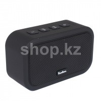 Колонка портативная Tesler PSS-444 (2.0), Black