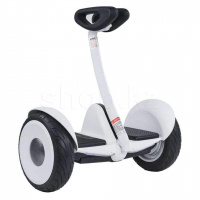 Гироскутер Ninebot S N3M240, White
