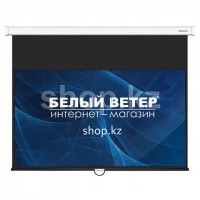 Deluxe DLS-M240x135W қабырға экраны
