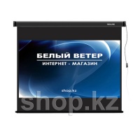 Deluxe DLS-E274-210 моторлы экраны