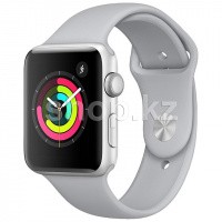 Смарт-часы Apple Watch Series 3, 42mm, Silver-Gray