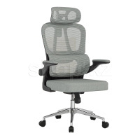 Кресло офисное компьютерное FlexiSpot OC19G, Gray