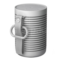 Bang & Olufsen Beosound Explore (2.0), Grey Mist динамигі