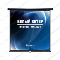 Экран настенный Deluxe DLS-M274x