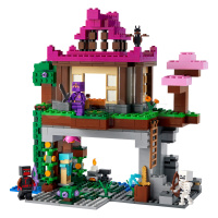 Конструктор Lego, Minecraft: Площадка для тренировок