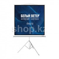 Deluxe DLS-T203xW штативіндегі экраны