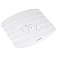TP-Link EAP110 кіру нүктесі