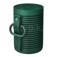 Bang & Olufsen Beosound Explore (2.0), Green динамигі