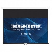 Deluxe DLS-M265x149W қабырға экраны