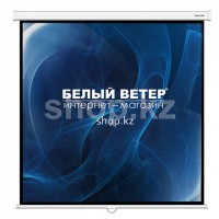 Экран настенный Deluxe DLS-M305W