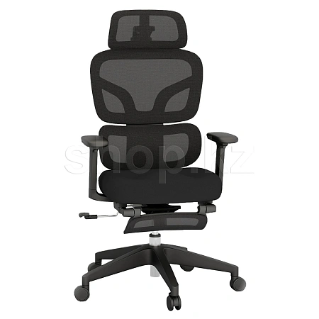 Кресло офисное компьютерное FlexiSpot BS5B-PRO, Black