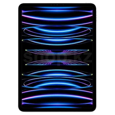 Retina Liquid 11" дисплейі бар Apple iPad Pro A2759 планшеті, 2 TB, Wi-Fi, Silver (MNXN3)