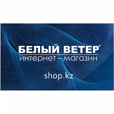 Rombica Screen PS-100D қабырға экраны