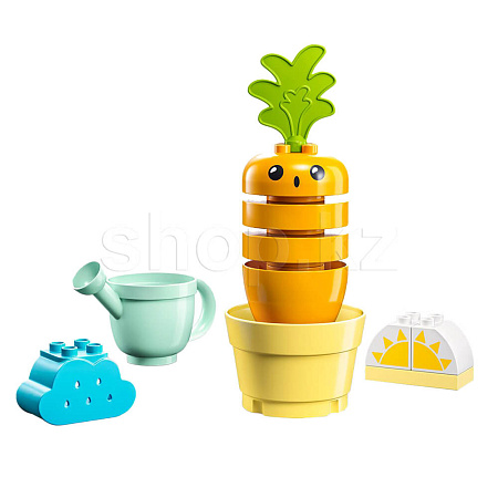 Lego, Duplo конструкторы: Сәбіз өсіреміз