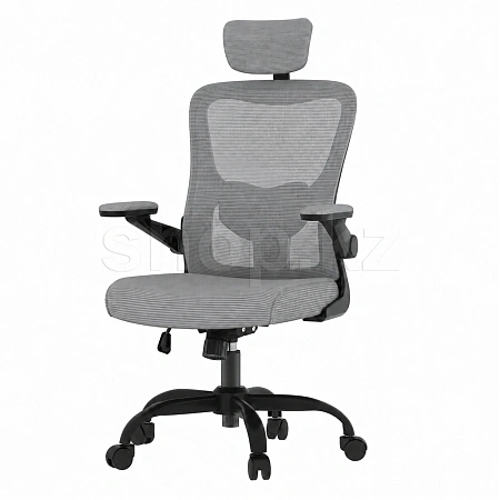 Кресло офисное компьютерное FlexiSpot OC1-G, Gray