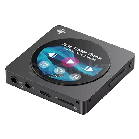 MP3 Player FiiO Snowsky Disc, Black