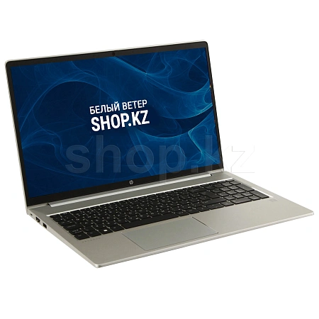 HP ProBook 450 G10 (816P1EA) ноутбугы