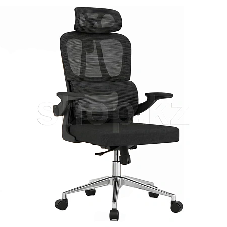 Кресло офисное компьютерное FlexiSpot OC19B, Black