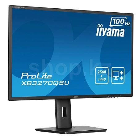 Монитор 31.5" iiyama XB3270QSU-B1, Black