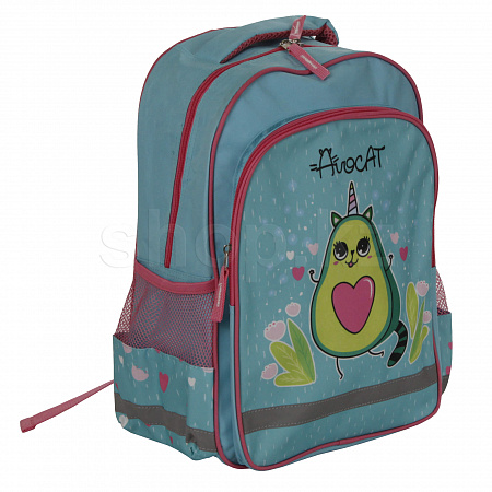 Школьный рюкзак ПИФАГОР Avocat 270652, Turquoise-Pink