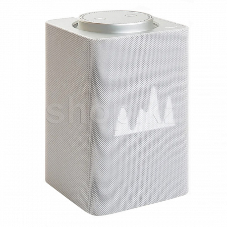 Колонка Яндекс.Станция Mакс, Gray