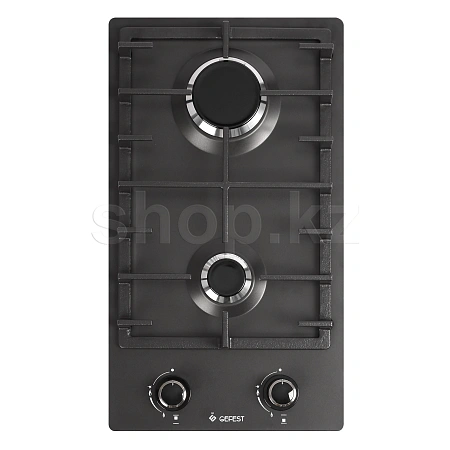 ПВГ 1003 K2 газ пісіру беті