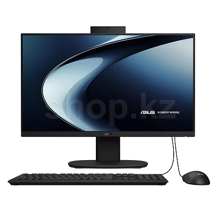 Моноблок ASUS ExpertCenter V440VAK-BPC1060 (90PT03XB-M092C0)