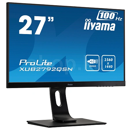 Монитор 27" iiyama ProLite XUB2797QSN-B1, Black