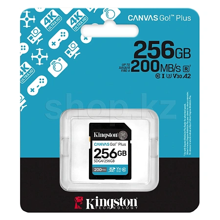 SDXC 256Gb Kingston Canvas Go! Plus, Class 10 UHS-I U3 V30 A2 жад картасы